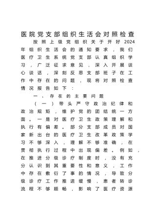 医院党支部2024年度组织生活会对照检查3300字