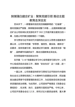 陕煤矿业：聚焦党建引领 推动主题教育走深走实