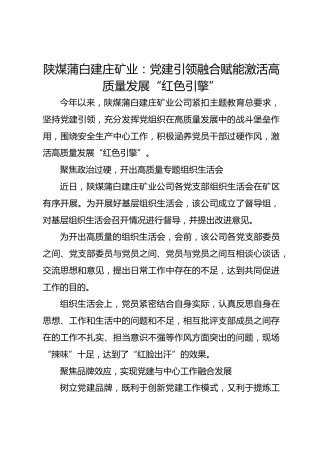 陕煤矿业：党建引领融合赋能激活高质量发展“红色引擎”