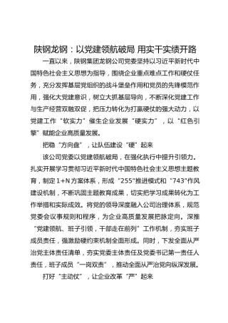 陕钢龙钢：以党建领航破局 用实干实绩开路