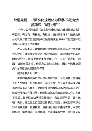 陕钢龙钢：以标准化规范化为抓手 推动党支部建设“塑形提质”