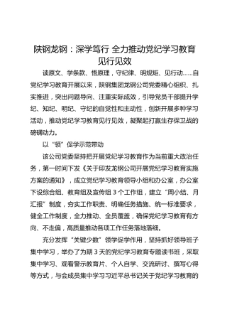 陕钢龙钢：深学笃行 全力推动党纪学习教育见行见效