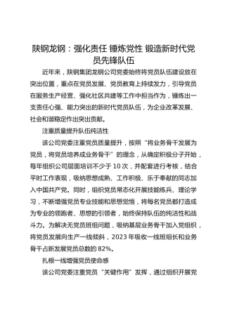 陕钢龙钢：强化责任 锤炼党性 锻造新时代党员先锋队伍