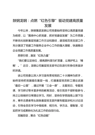 陕钢龙钢：点燃“红色引擎” 驱动党建高质量发展
