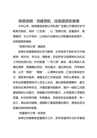 陕钢龙钢：党建领航，绘就提质新画卷