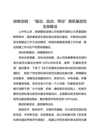 陕钢龙钢：“驱动、促动、带动”狠抓基层党支部建设