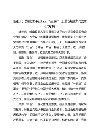 岐山：县属国有企业“三色”工作法赋能党建促发展
