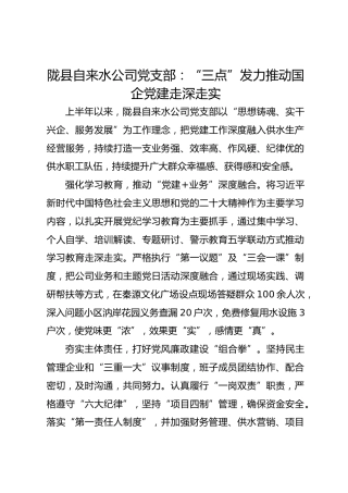 陇县自来水公司党支部：“三点”发力推动国企党建走深走实