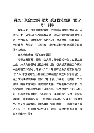 丹凤：聚合党建引领力 激活县域发展“国字号”引擎