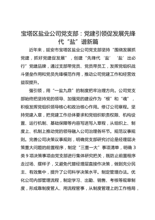 宝塔区盐业公司党支部：党建引领促发展 先锋代“盐”谱新篇