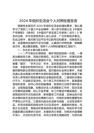 2024年组织生活会个人对照检查发言2