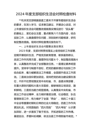 2024年度支部组织生活会对照检查4200字（含上年度组织生活会问题整改，六个方面版）