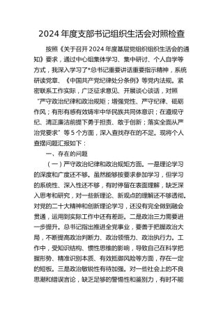 2024年度支部书记组织生活会对照检查（含民族共同体）