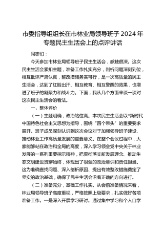 指导组组长在林业系统2024年民主生活会上的点评讲话4300字