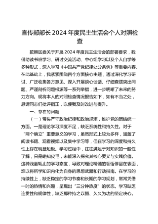 宣传部部长2024年度民主生活会对照检查7000字