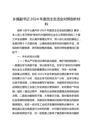乡镇副书记2024年度民主生活会对照检查（7000字含典型案例剖析）