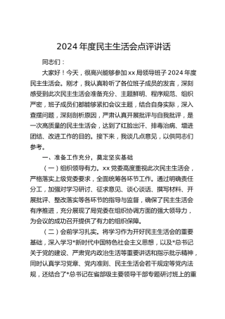 民主生活会点评讲话3400字