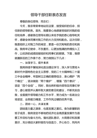 领导干部任职表态发言 (3)