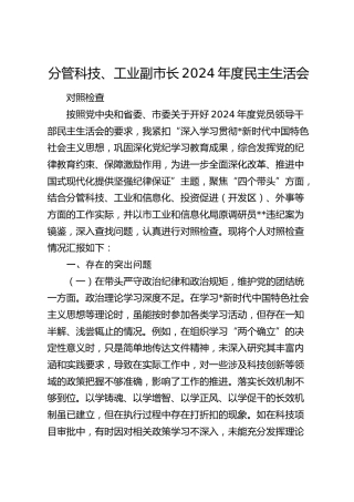 分管科技、工业副市长2024年民主生活会个人对照检查6100字（含典型案例剖析）