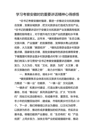 总书记考察安徽重要讲话精神心得体会发言（乡镇）