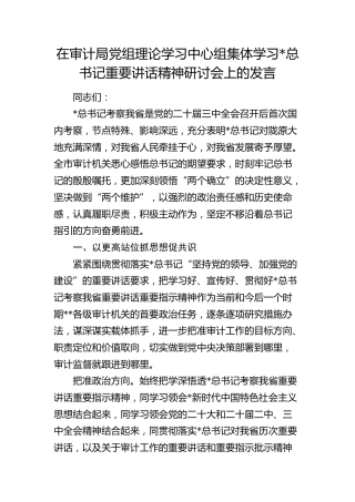总书记甘肃考察重要讲话精神研讨会上的发言（审计）