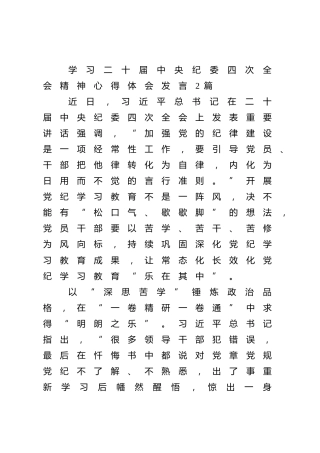 学习二十届中央纪委四次全会精神心得体会发言2篇