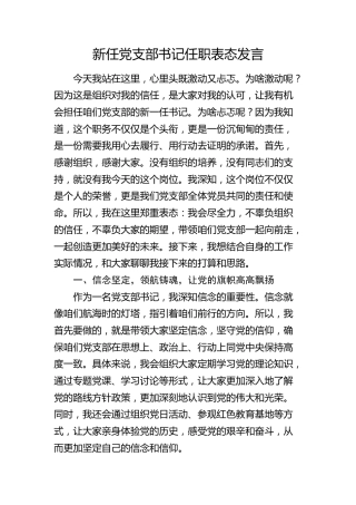 新任党支部书记任职表态发言 (2)