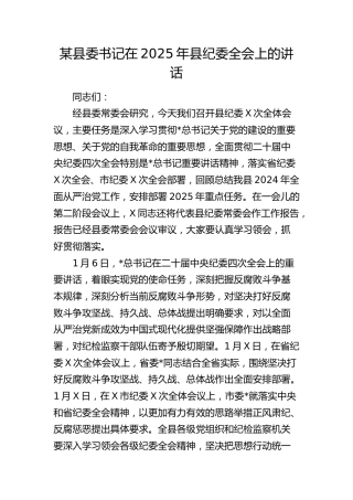 县委书记在2025年县纪委全会上的讲话 (2)
