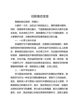 任职表态发言 (3)