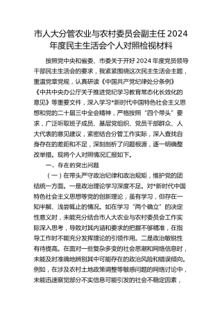 人大2024年度民主生活会个人对照检查8700字（含违纪行为典型案例剖析）