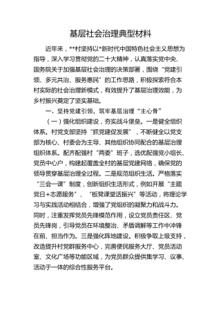 基层社会治理典型经验（村）