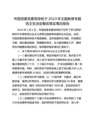 国资委上年度民主生活会整改落实情况总结报告3600字