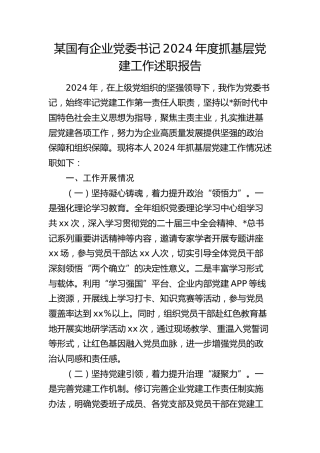 国企公司书记2024年度抓党建工作述职报告2900字