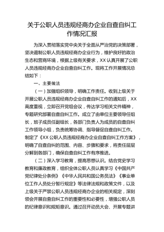 公职人员违规经商办企业自查自纠工作情况2