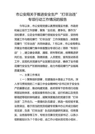 公安系统安全生产“打非治违”专项行动总结报告