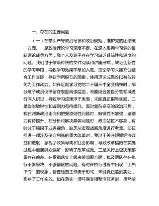 个人四个带头生活会29