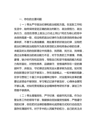 个人四个带头生活会9