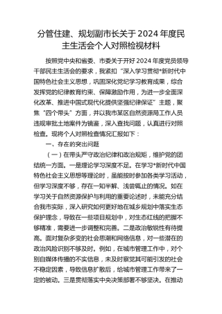 分管住建、规划副市长2024年度民主生活会对照检查8400字（含典型案例剖析）