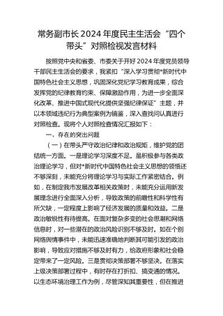 常务副市长2024年度民主生活会对照检查6600字