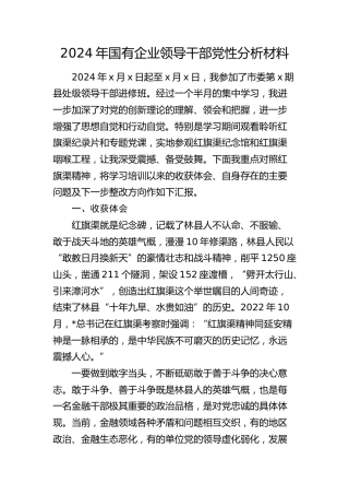 2024年国企公司领导党性分析（结合红旗渠）