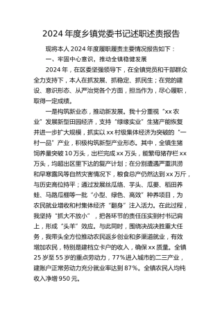 2024年度乡镇书记述职述责报告