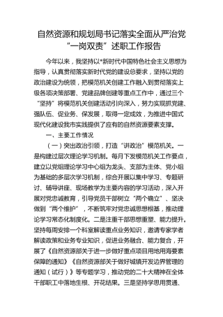 自然资源系统书记落实全面从严治党“一岗双责”述职工作报告