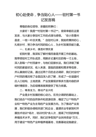 驻村第一书记发言稿 (3)