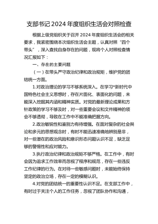 支部书记2024年度组织生活会对照检查2600字