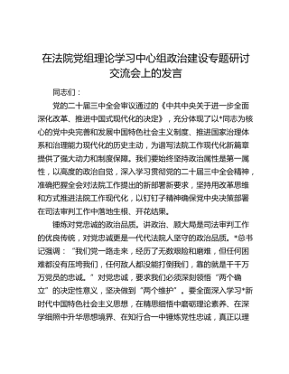 在法院党组中心组政治建设专题研讨交流会上的发言