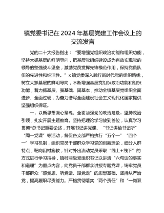 乡镇在2024年基层党建工作会议上的交流发言