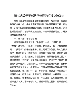 乡镇干部队伍建设的汇报交流发言