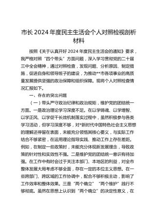 市长2024年度民主生活会个人对照检视剖析材料