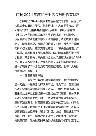 市长2024年度民主生活会对照检查材料 (2)