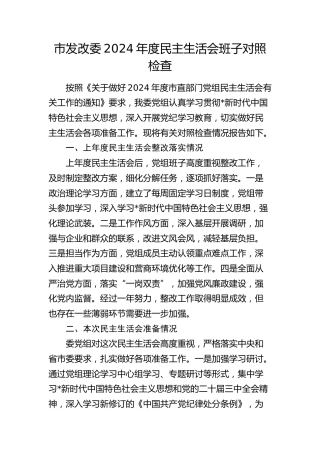 市发改委2024年度民主生活会班子对照检查5300字